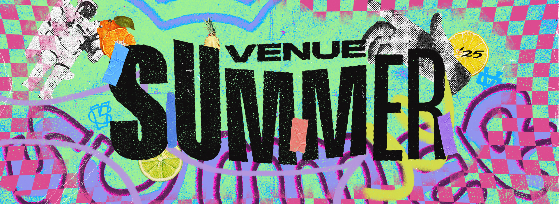 Venue Summer 2025